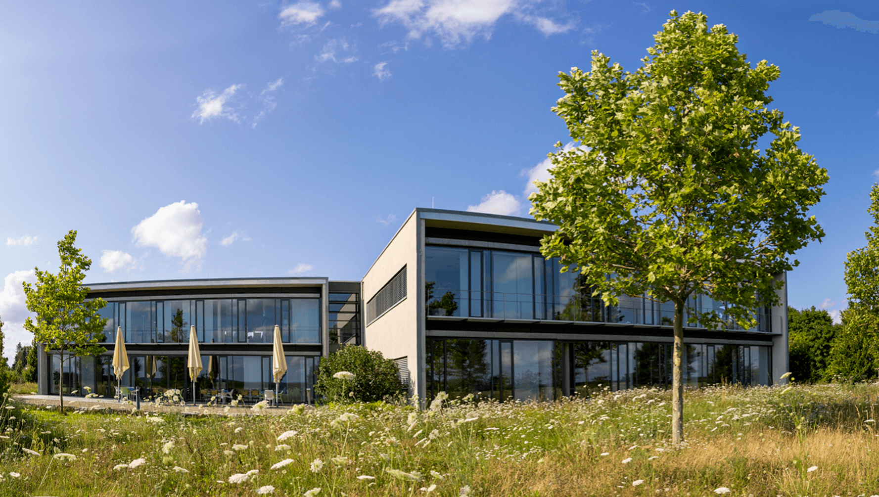 Galleriebild